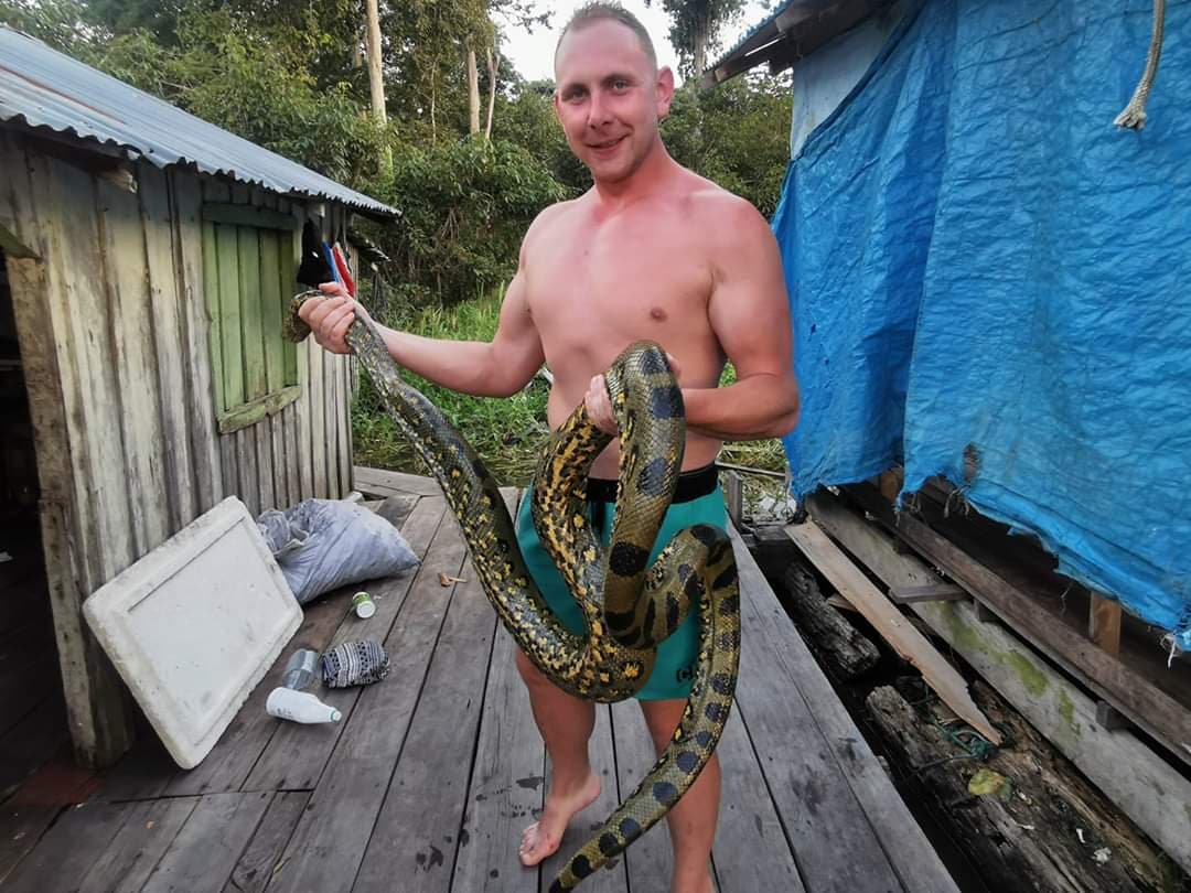 Amazonas, Brasilien — Anakonda im Amazonas-Gebiet